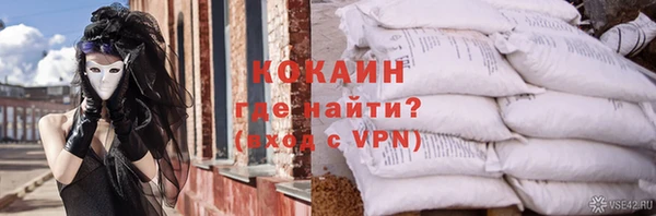 спайс Ельня