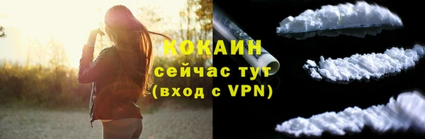 спайс Ельня