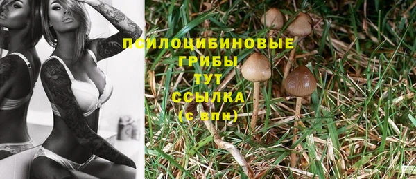 спайс Ельня