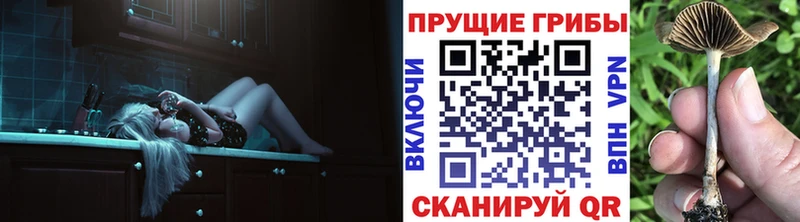 Купить  Касимов  Галлюциногенные грибы прущие грибы 
