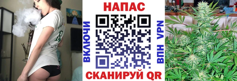 Купить где  Касимов  Шишки марихуана планчик 
